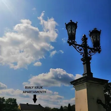 Bialy Kruk Apartamenty Vis-A-Vis Jasnej Gory Czestochowa Exterior photo
