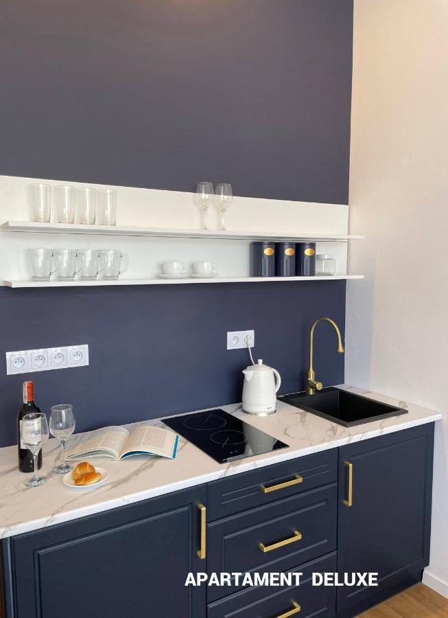 Apartment Bialy Kruk Vis-a-vis Jasnej Gory Czestochowa