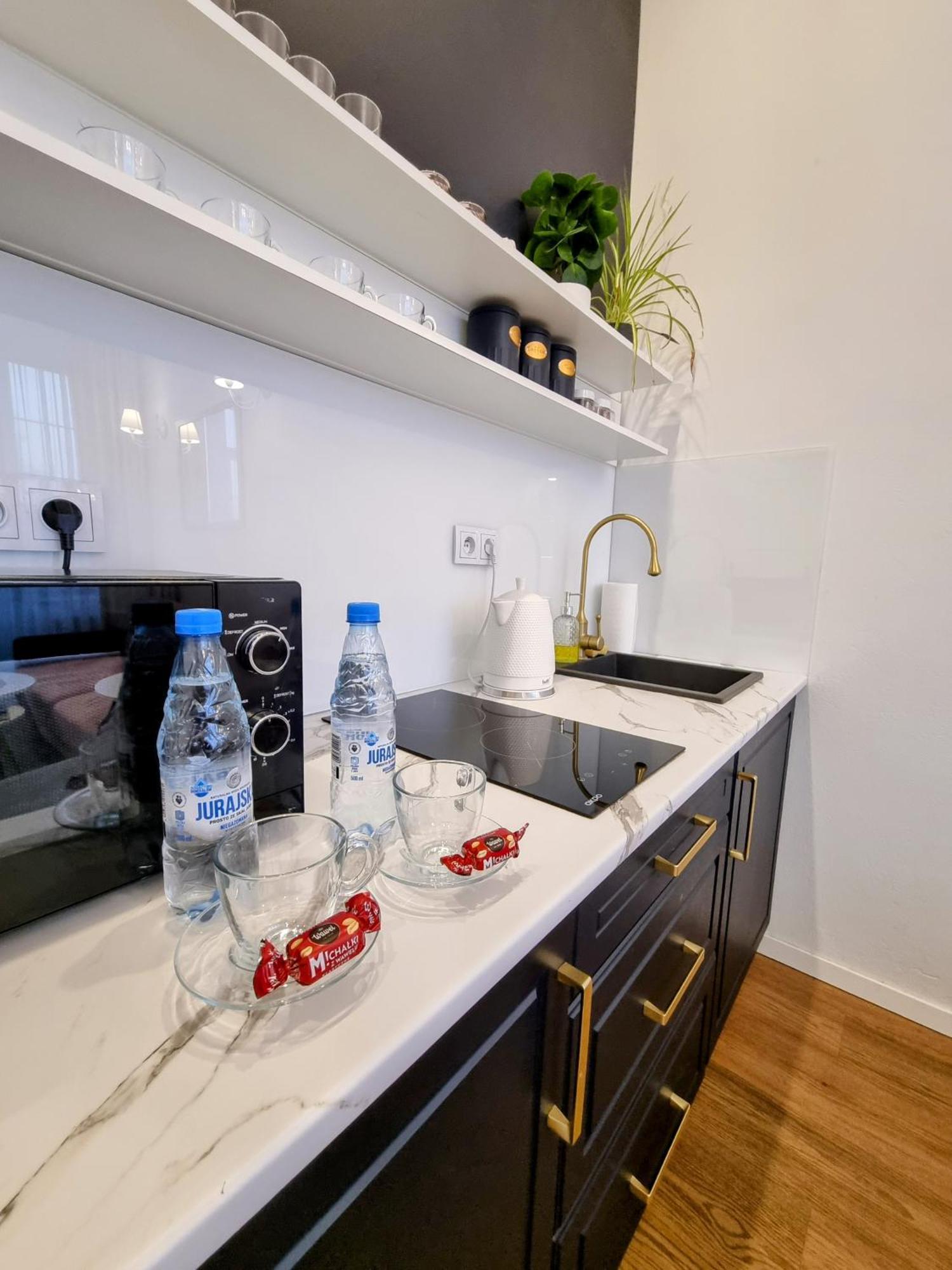 Bialy Kruk Vis-a-vis Jasnej Gory Apartment *